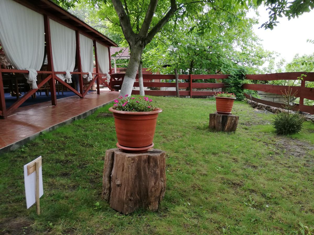 Grace Villa Codru Zewnętrze zdjęcie